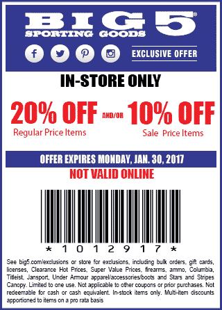 big 5 sporting goods coupon