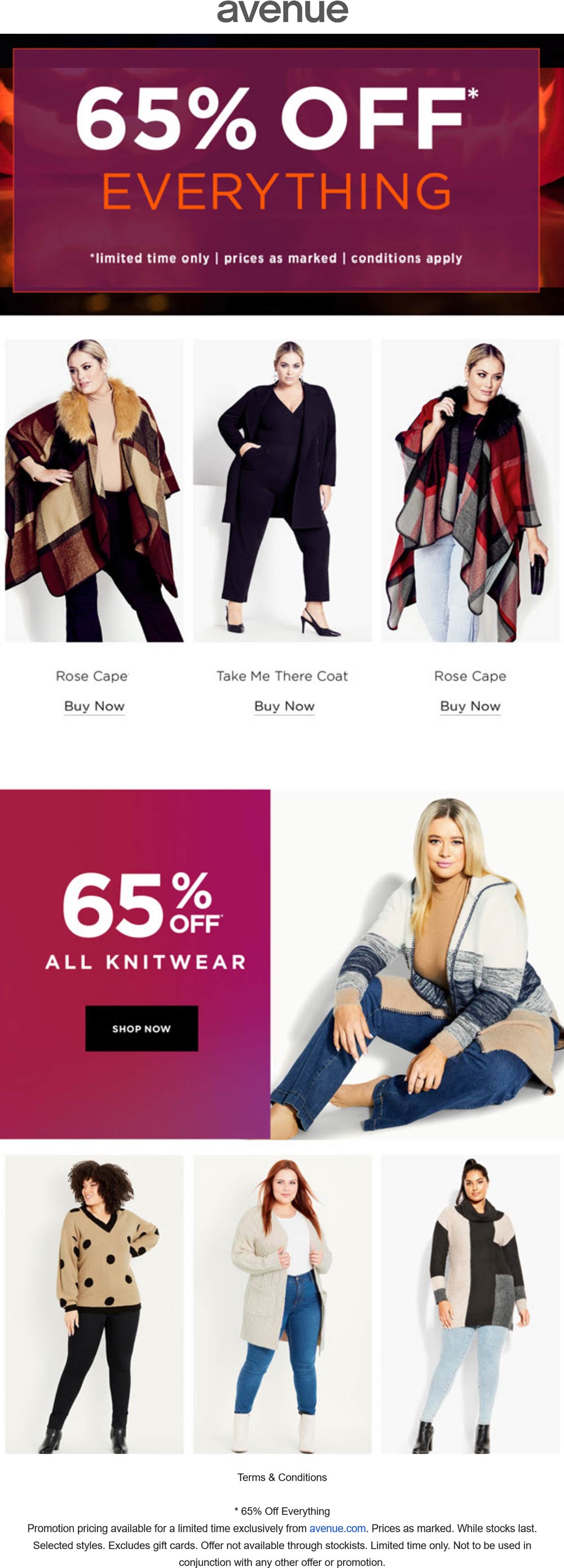 Avenue stores Coupon  65% off everything at Avenue #avenue 