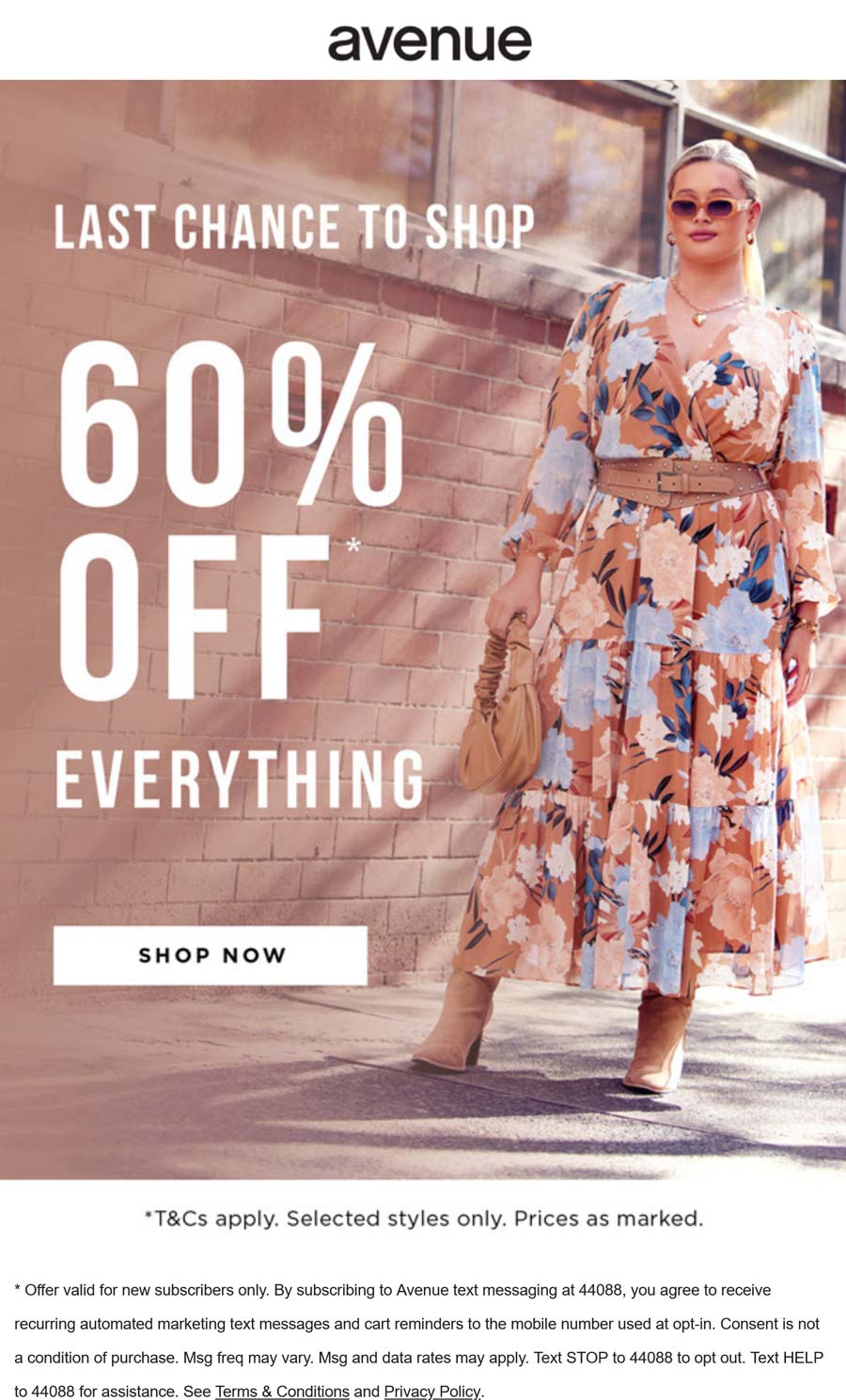 Avenue stores Coupon  60% off everything today at Avenue #avenue 